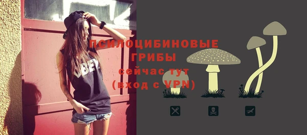СК Армянск