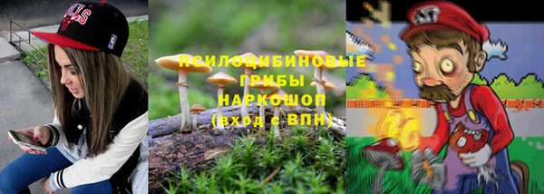 мяу мяу мука Арсеньев
